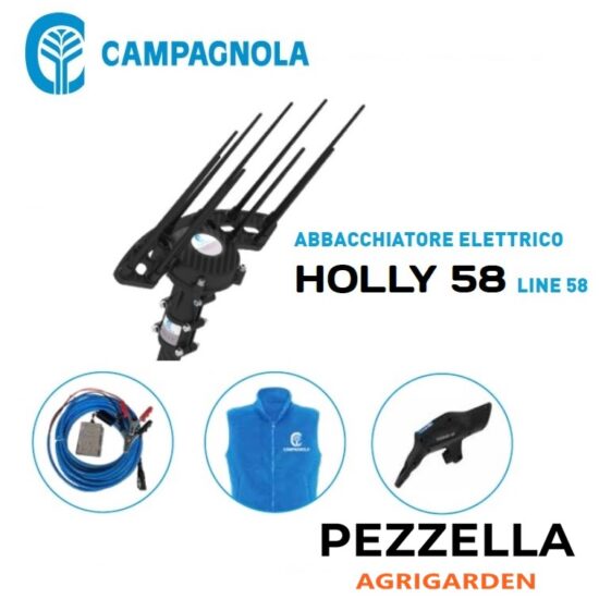 kit-raccolta-elettrico-–-abbacchiatore-campagnola-holly-58